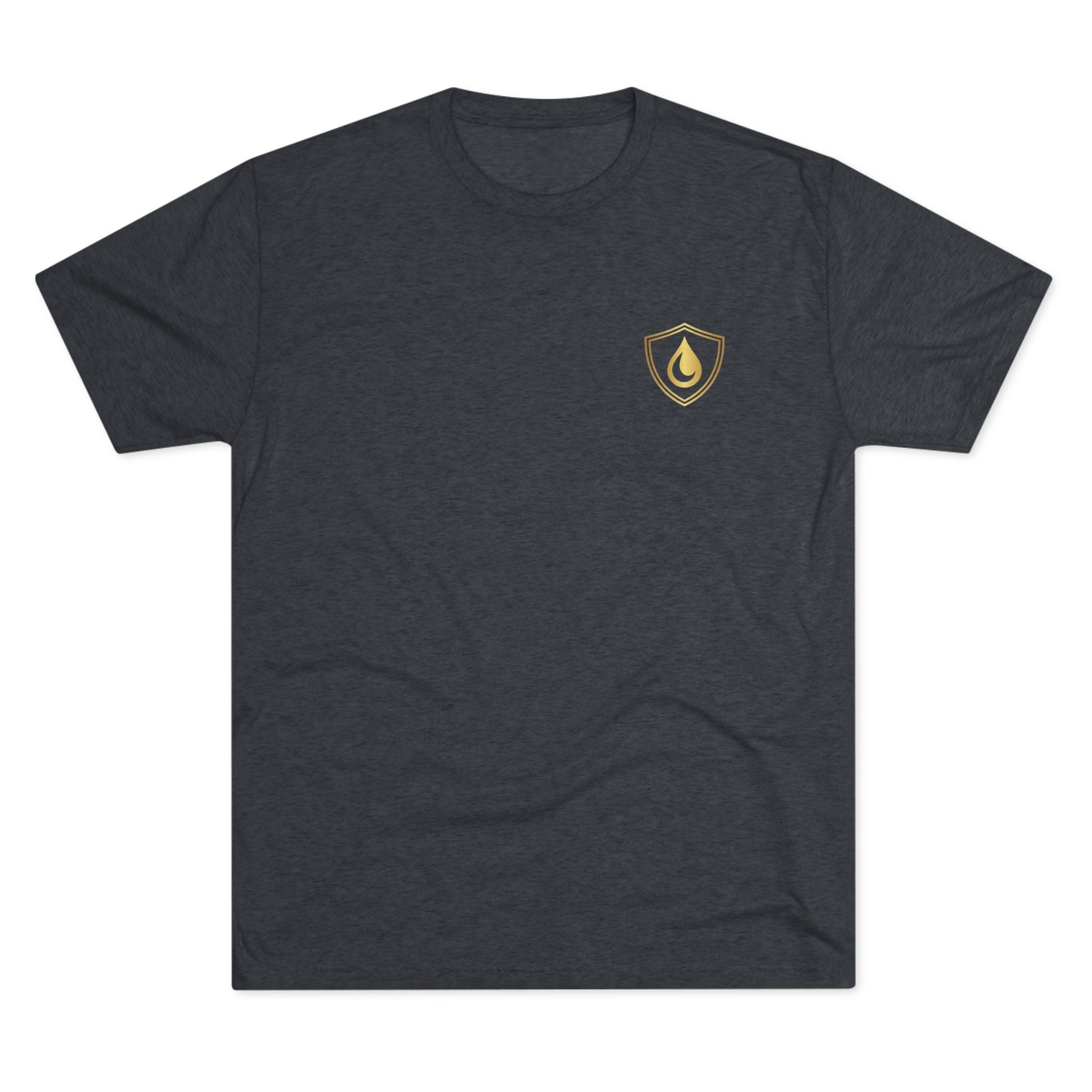 🦁 Let Your Lion Roar Men’s Tee