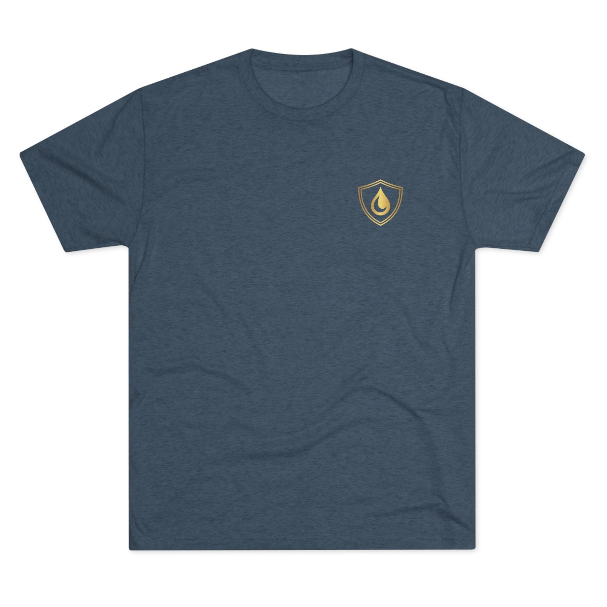 🦁 Let Your Lion Roar Men’s Tee
