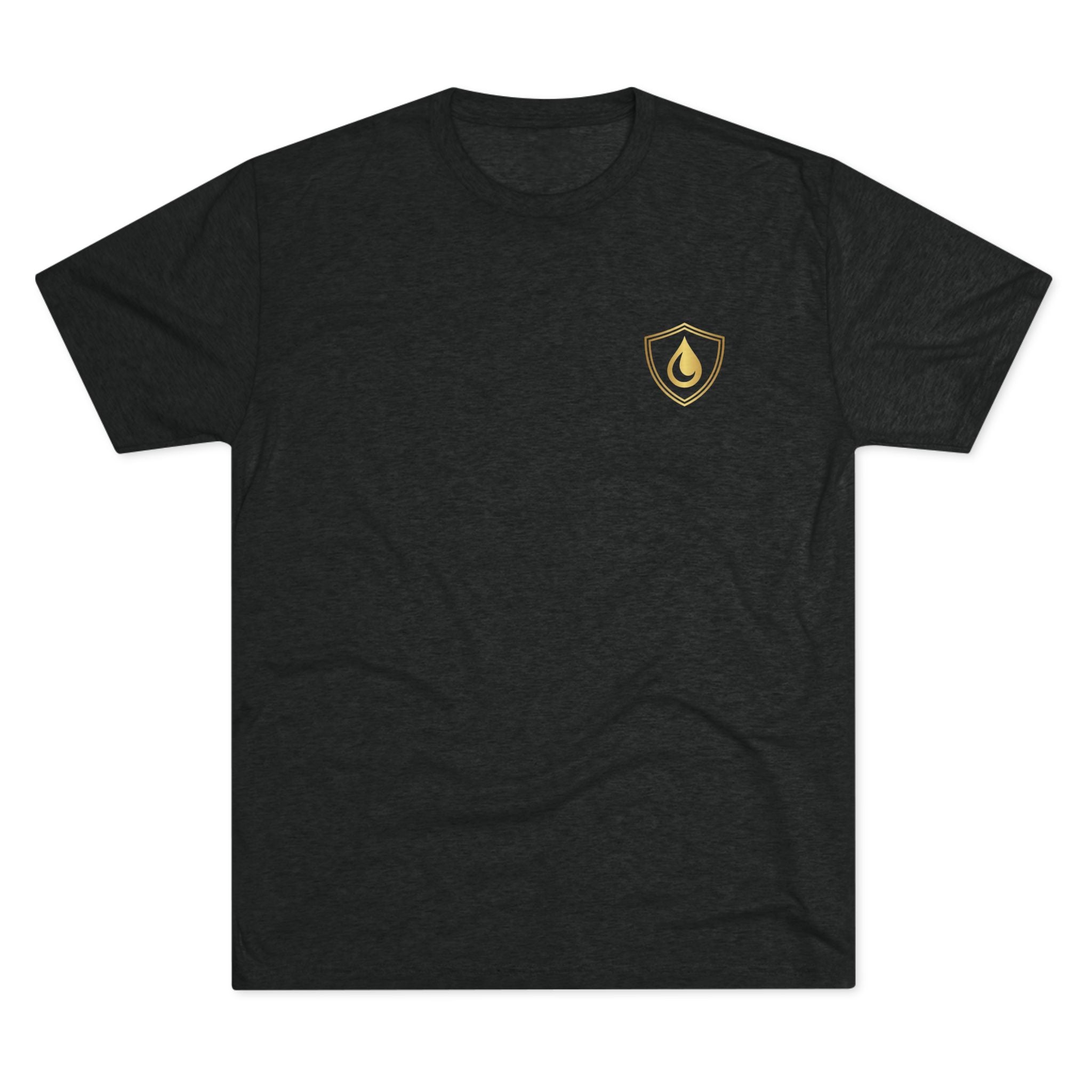 🦁 Let Your Lion Roar Men’s Tee