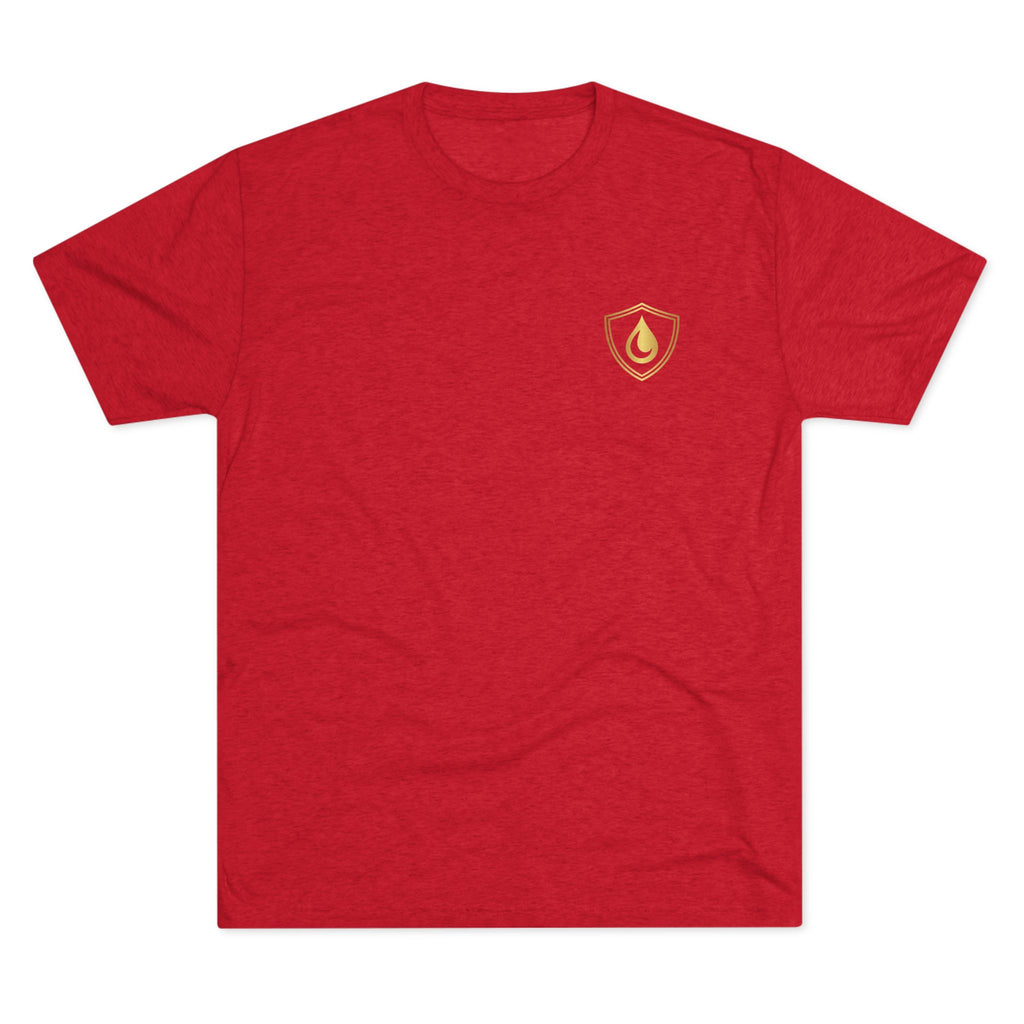 🦁 Let Your Lion Roar Men’s Tee